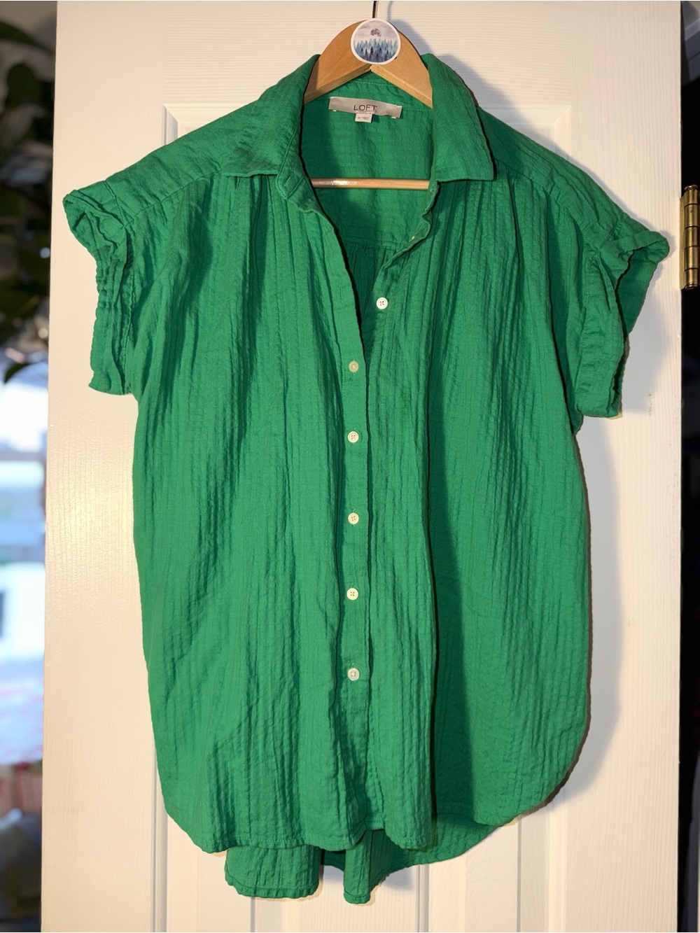 LOFT Green Gauze Button Down Blouse M Ruffle Flutter Sleeve Textured Shirt